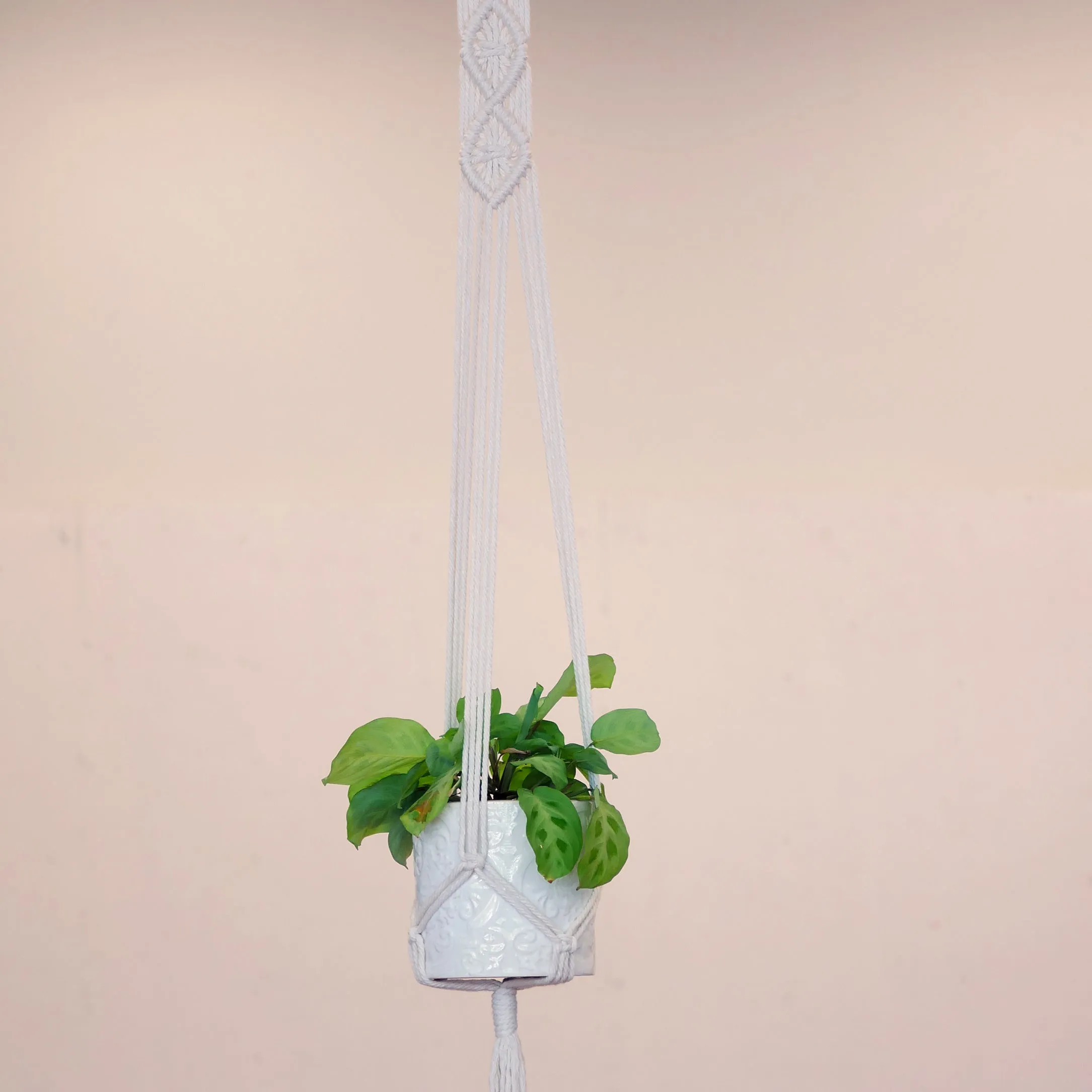 Macrame Art Kit   Video Tutorial | Twist and Tie Rope to Create Fun Functional Art (Premium Box)