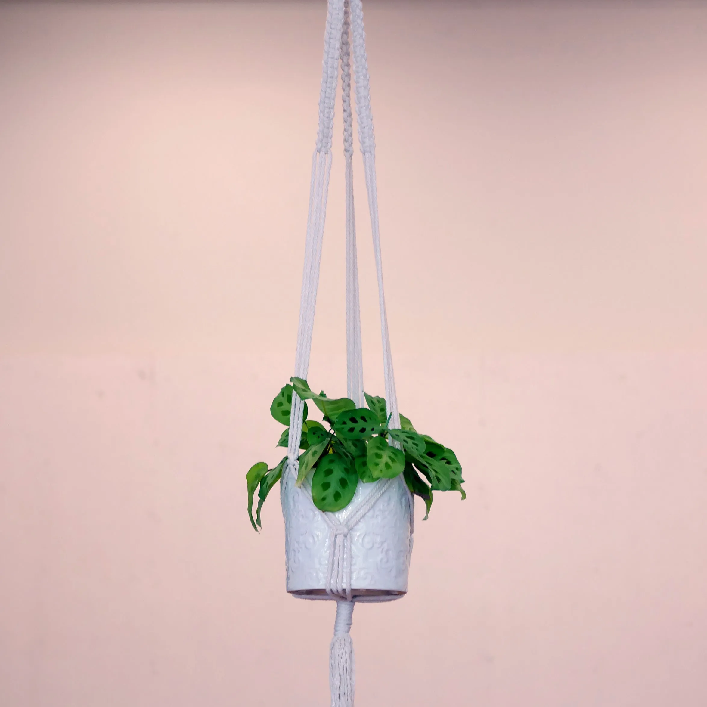 Macrame Art Kit   Video Tutorial | Twist and Tie Rope to Create Fun Functional Art (Premium Box)