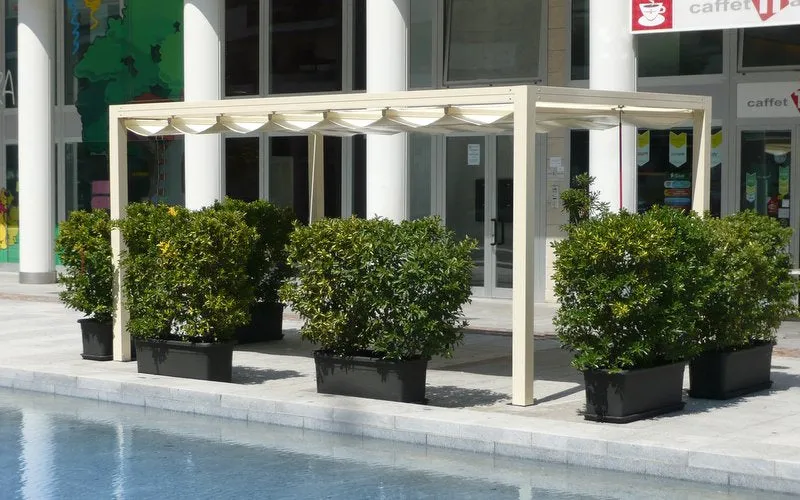 Modern Framed Shade Structures