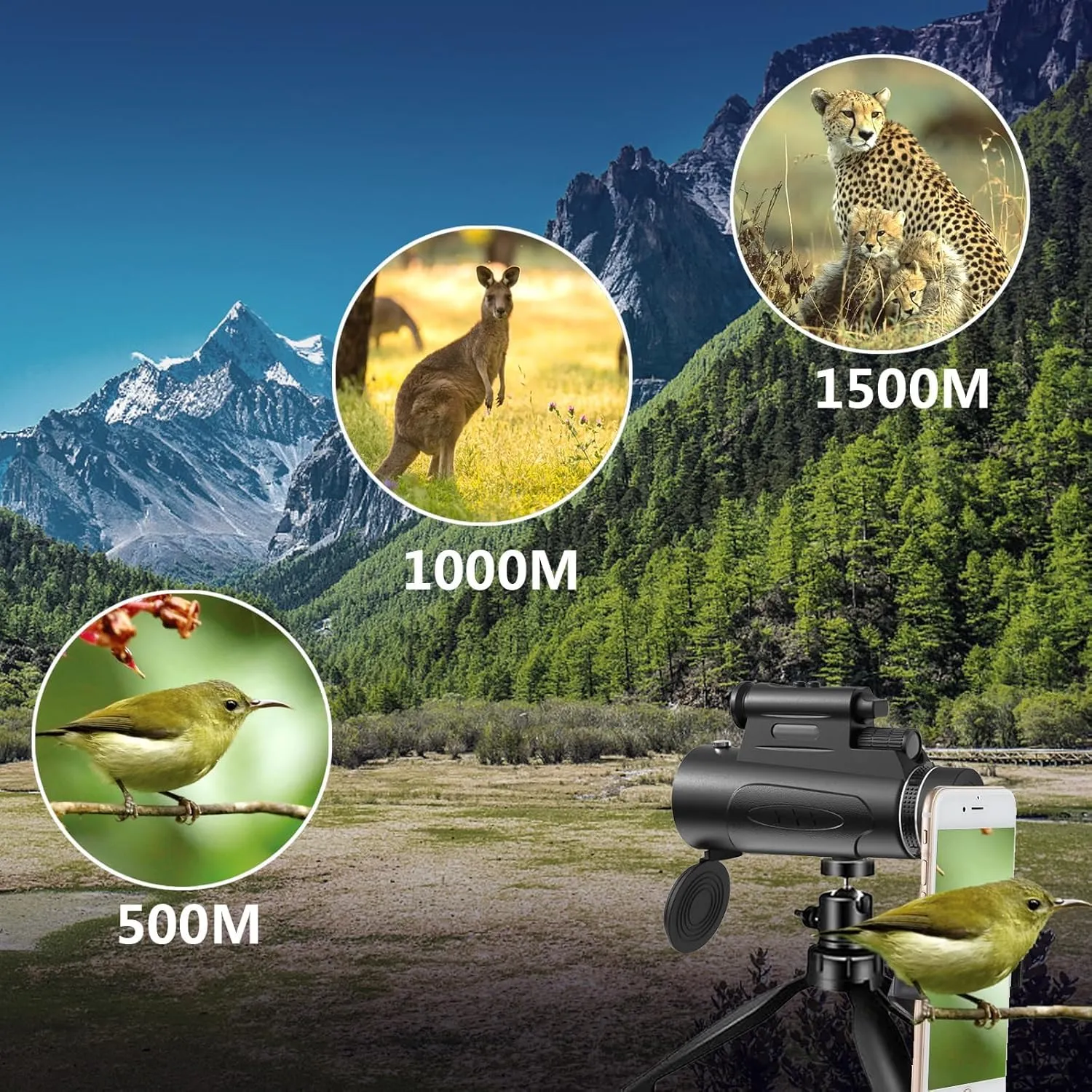 Monocular Telescope with Lights HD Monoculars 80x100 for Adults High Powered Monocular for Hunting with Smartphone Holder & Tripod, Handheld Telescope Suitable for Bird Watching Stargazing-Black
